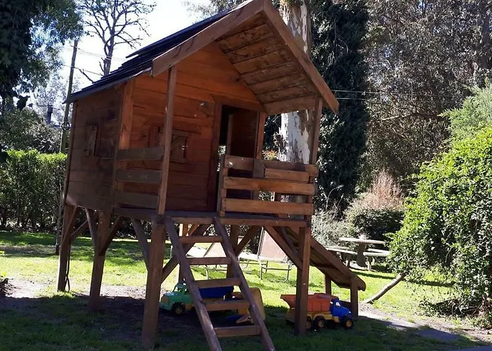 Bosque Peralta Ramos. Zorzales Del Bosque