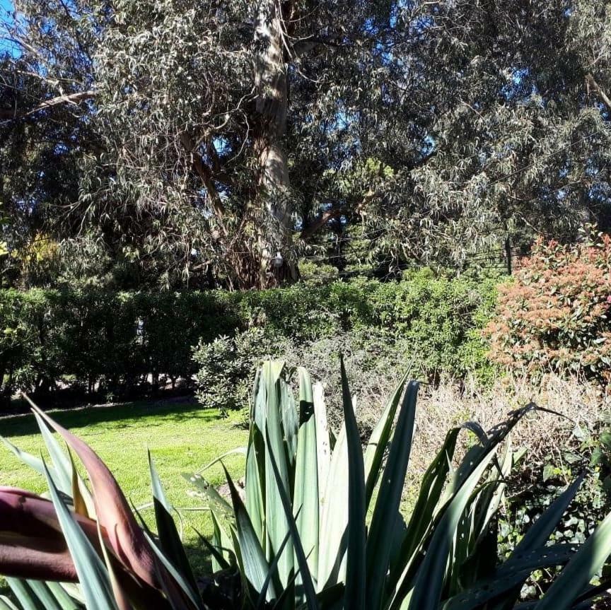 Holiday home Bosque Peralta Ramos. Zorzales Del Bosque Mar del Plata