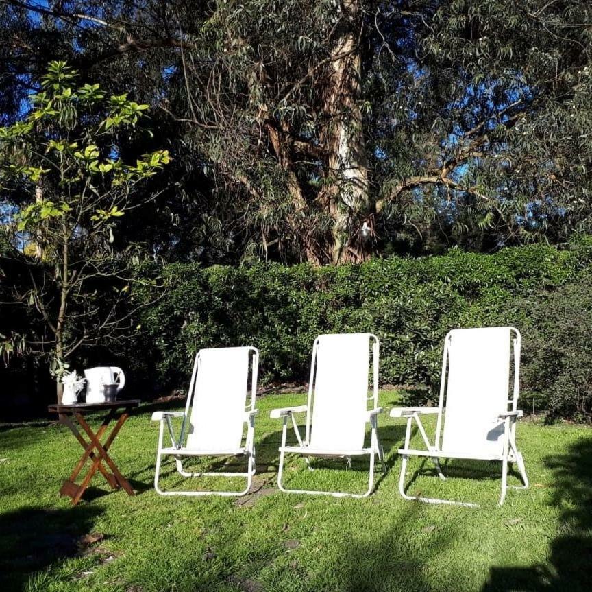 Bosque Peralta Ramos. Zorzales Del Bosque * Mar del Plata